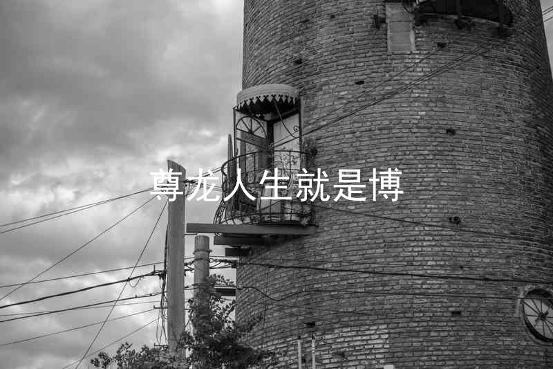 尊龙人生就是博