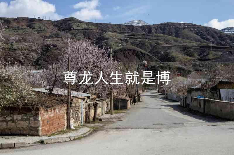 尊龙人生就是博